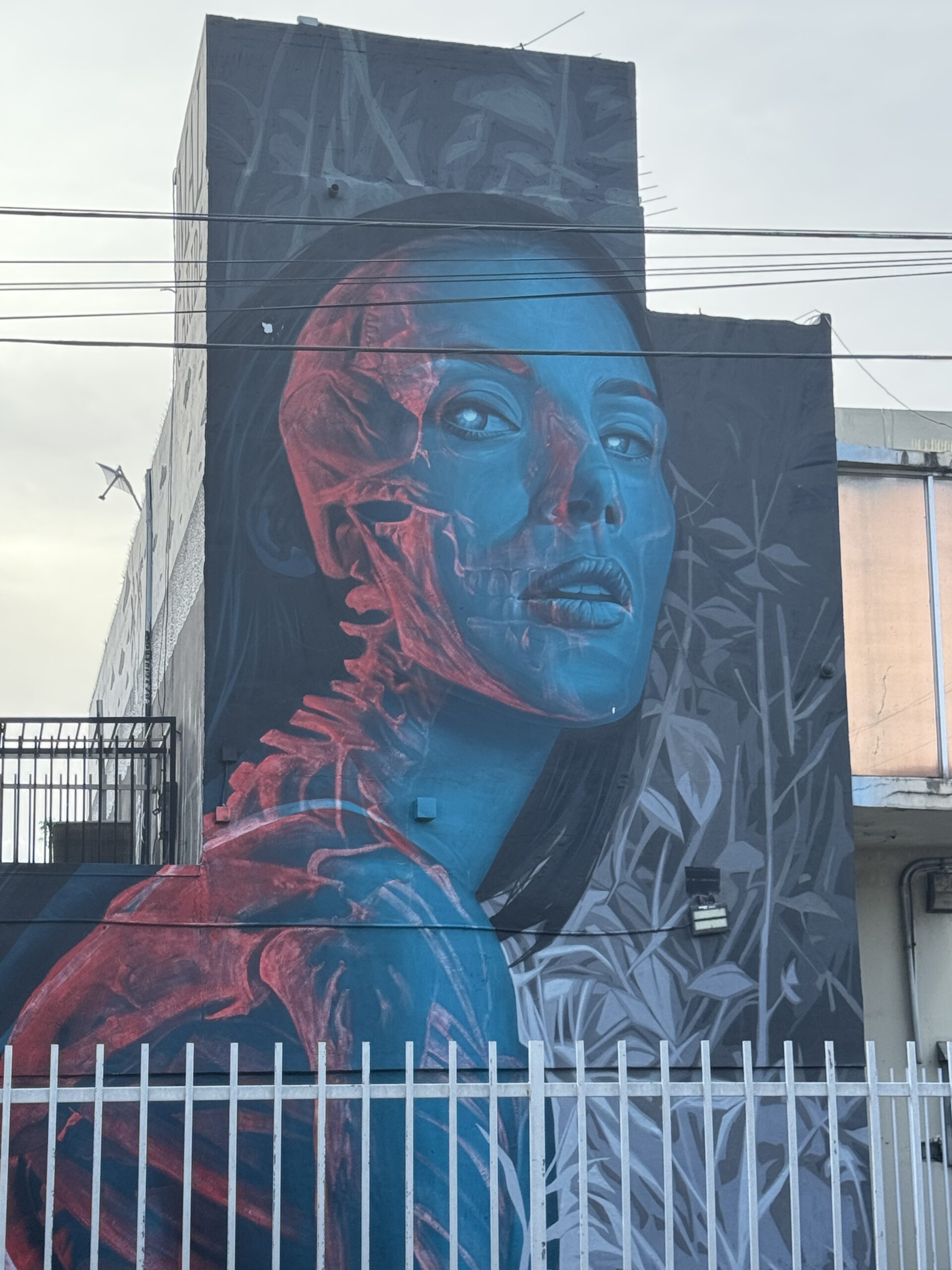 How to Spend a Day in Santurce, San Juan
